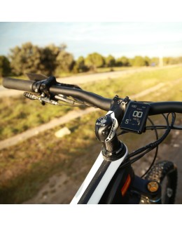  EggRider C1 colour eBike display